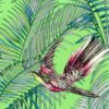 Sunbird W6543-03